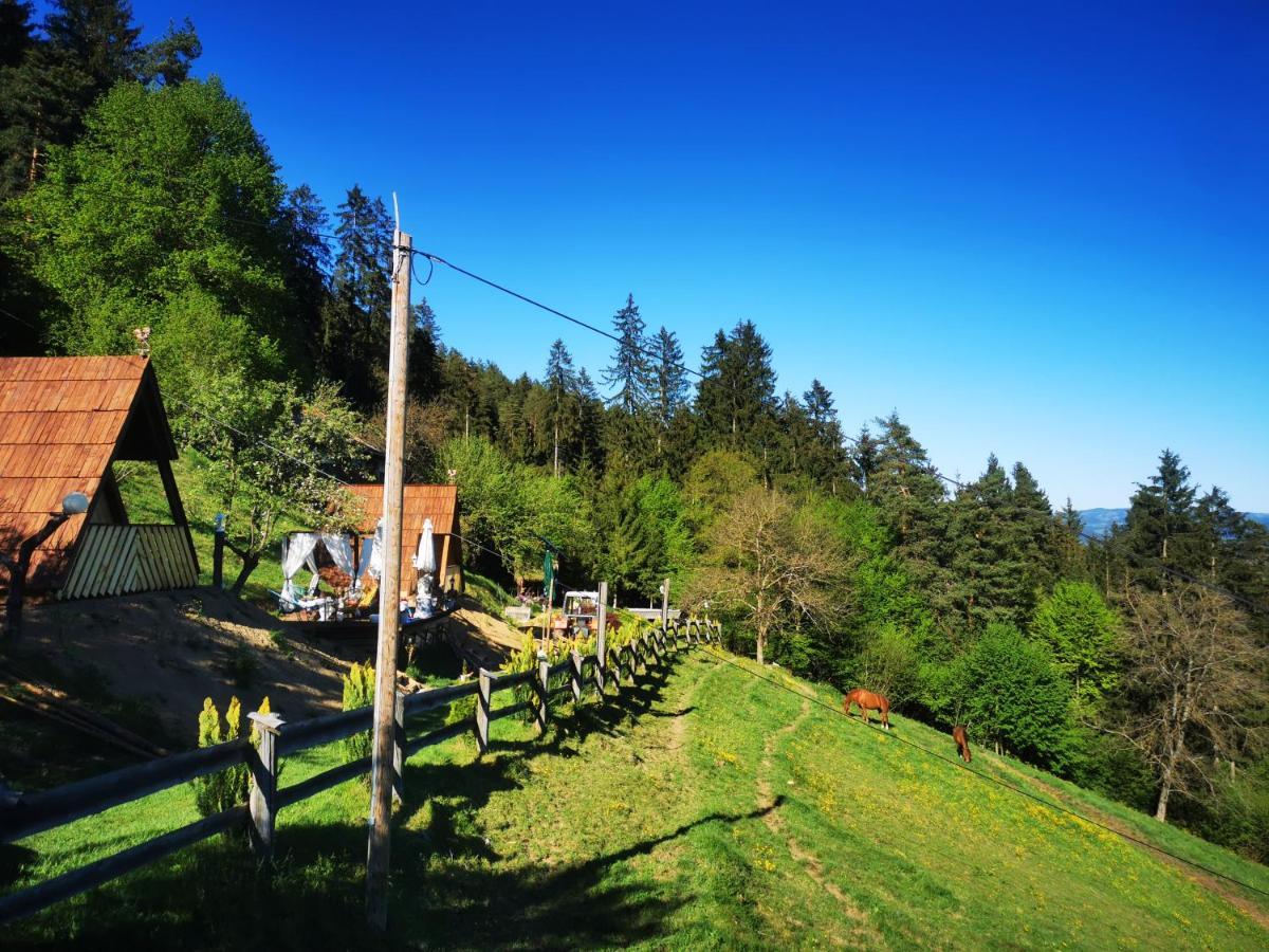 Glamping Mm Hotel Muta Eksteriør billede